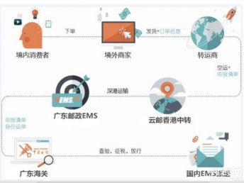 圖說海淘 個(gè)人包裹直郵進(jìn)口清關(guān)代理、行郵清關(guān)與深圳物流服務(wù)全解析，助您找到便宜高效的海淘物流方案